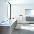 Rendering Zehnder Zenia Decorative radiator 